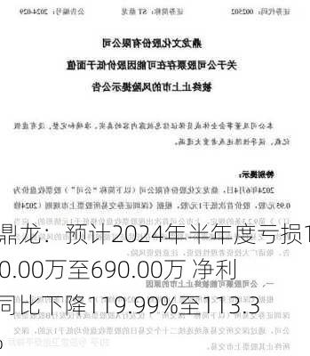 ST鼎龙：预计2024年半年度亏损1030.00万至690.00万 净利润同比下降119.99%至113.39%