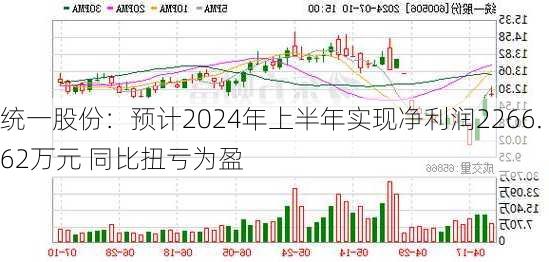 统一股份：预计2024年上半年实现净利润2266.62万元 同比扭亏为盈