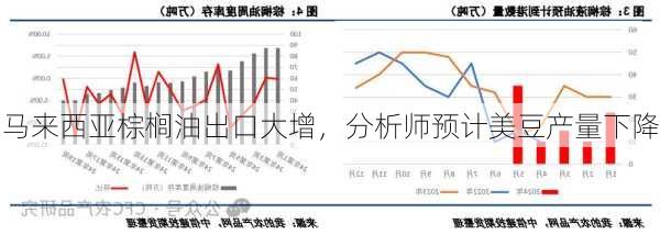 马来西亚棕榈油出口大增，分析师预计美豆产量下降