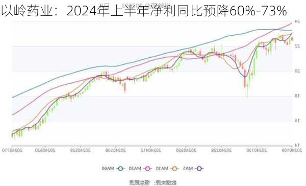 以岭药业：2024年上半年净利同比预降60%-73%