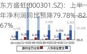 东方盛虹(000301.SZ)：上半年净利润同比预降79.78%-82.67%