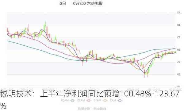 锐明技术：上半年净利润同比预增100.48%-123.67%