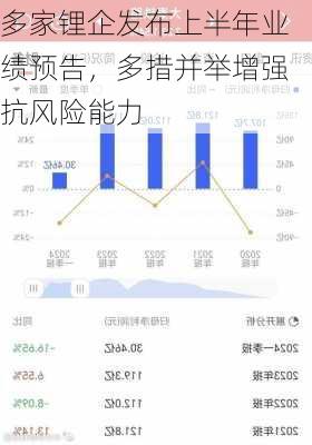 多家锂企发布上半年业绩预告，多措并举增强抗风险能力