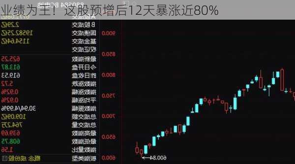 业绩为王！这股预增后12天暴涨近80%