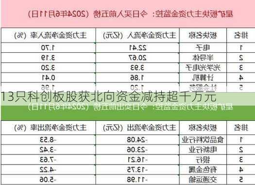 13只科创板股获北向资金减持超千万元