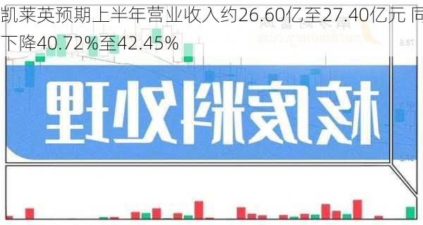 凯莱英预期上半年营业收入约26.60亿至27.40亿元 同比下降40.72%至42.45%