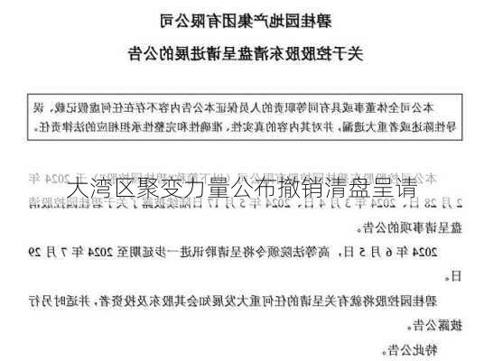 大湾区聚变力量公布撤销清盘呈请