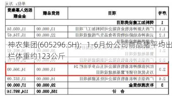 神农集团(605296.SH)：1-6月份公司商品猪平均出栏体重约123公斤