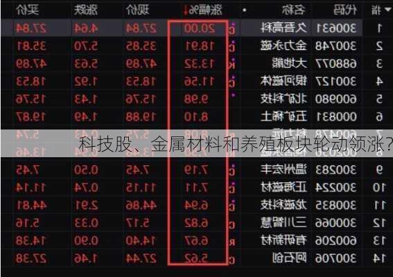 科技股、金属材料和养殖板块轮动领涨？