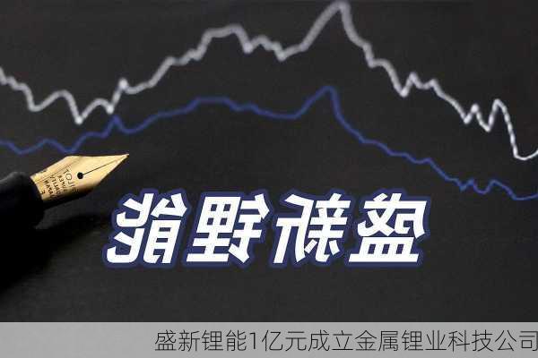 盛新锂能1亿元成立金属锂业科技公司