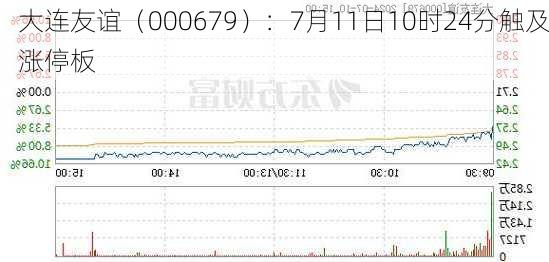 大连友谊（000679）：7月11日10时24分触及涨停板