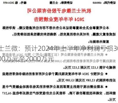 士兰微：预计2024年上半年净利润亏损3000万元至2000万元