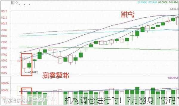 机构调仓进行时！7月翻身“密码”