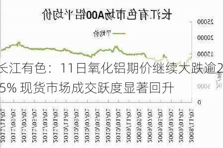 长江有色：11日氧化铝期价继续大跌逾2.5% 现货市场成交跃度显著回升