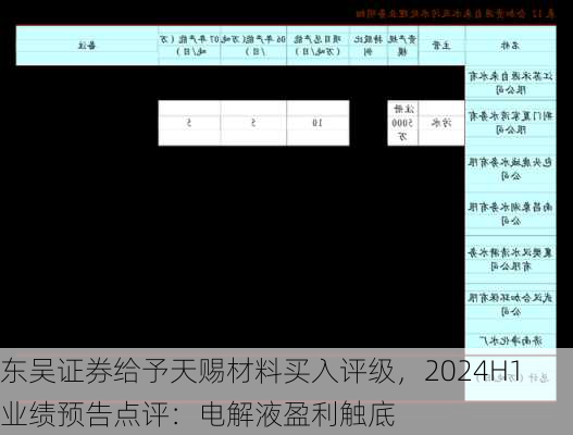 东吴证券给予天赐材料买入评级，2024H1业绩预告点评：电解液盈利触底