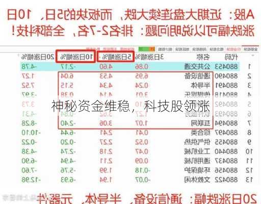 神秘资金维稳，科技股领涨