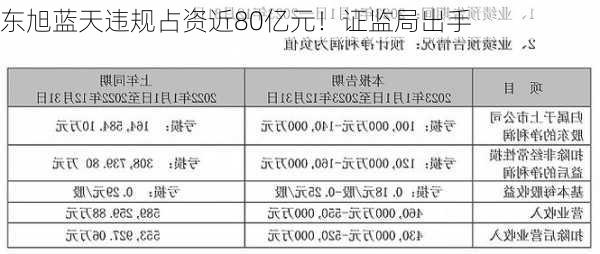 东旭蓝天违规占资近80亿元！证监局出手