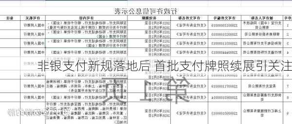 非银支付新规落地后 首批支付牌照续展引关注