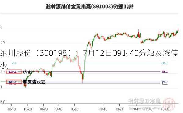 纳川股份（300198）：7月12日09时40分触及涨停板