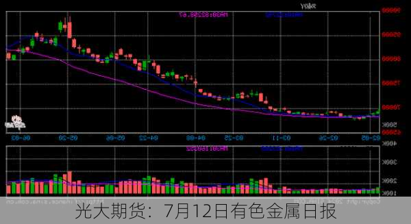 光大期货：7月12日有色金属日报