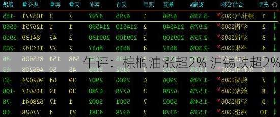 午评：棕榈油涨超2% 沪锡跌超2%