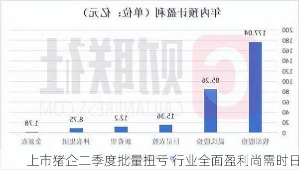 上市猪企二季度批量扭亏 行业全面盈利尚需时日