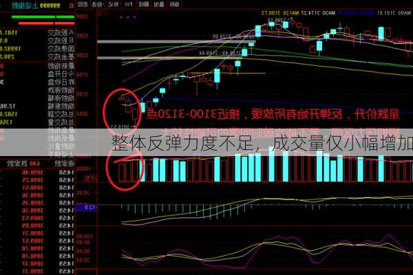 整体反弹力度不足，成交量仅小幅增加