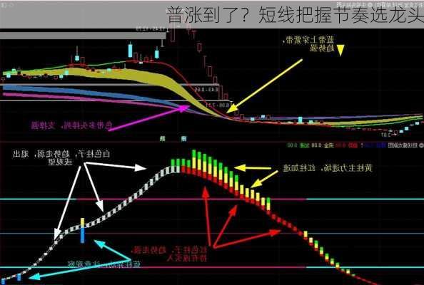 普涨到了？短线把握节奏选龙头