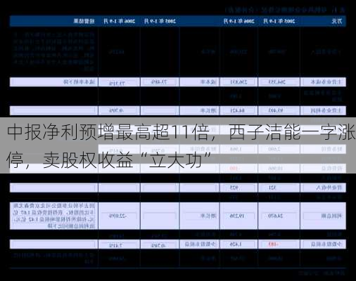 中报净利预增最高超11倍，西子洁能一字涨停，卖股权收益“立大功”