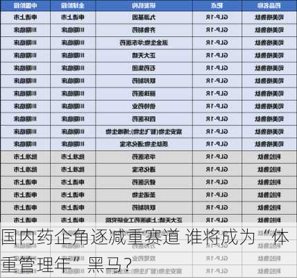 国内药企角逐减重赛道 谁将成为“体重管理年”黑马？