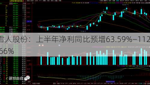 雪人股份：上半年净利同比预增63.59%―112.66%