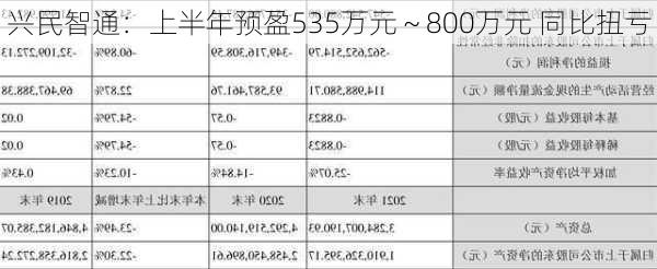 兴民智通：上半年预盈535万元～800万元 同比扭亏