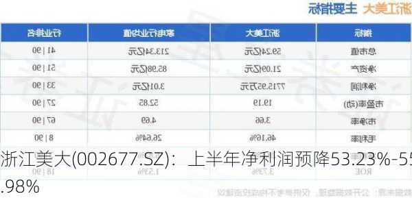 浙江美大(002677.SZ)：上半年净利润预降53.23%-55.98%