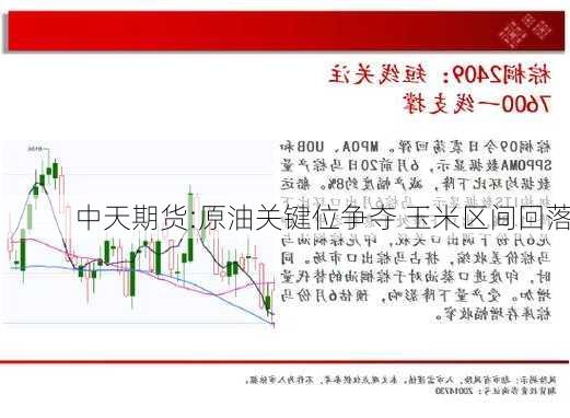 中天期货:原油关键位争夺 玉米区间回落