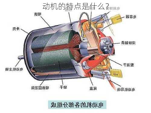 动机的特点是什么？