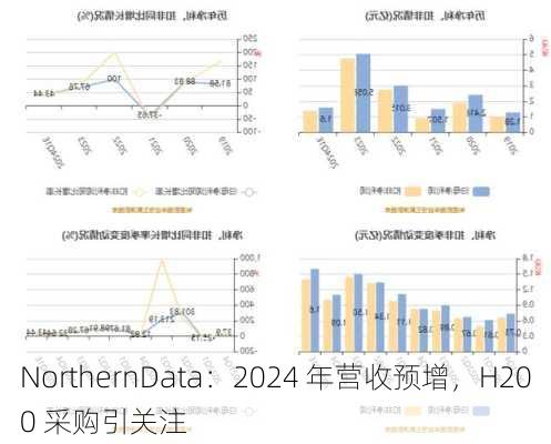 NorthernData：2024 年营收预增，H200 采购引关注