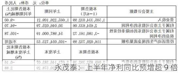 永茂泰：上半年净利同比预增超 9 倍