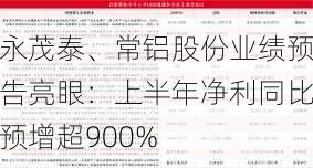 永茂泰、常铝股份业绩预告亮眼：上半年净利同比预增超900%