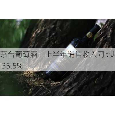 茅台葡萄酒：上半年销售收入同比增长 35.5%