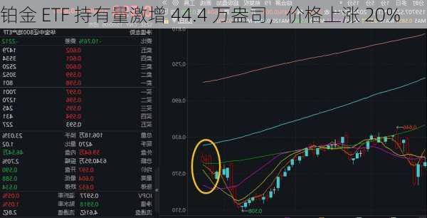 铂金 ETF 持有量激增 44.4 万盎司，价格上涨 20%