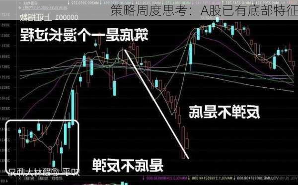 策略周度思考：A股已有底部特征