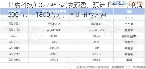 世嘉科技(002796.SZ)发预盈，预计上半年净利润1500万元—1800万元，同比扭亏为盈