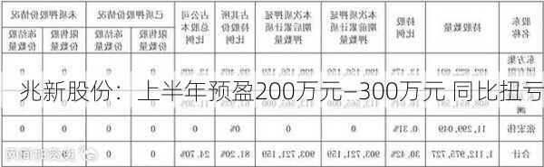 兆新股份：上半年预盈200万元―300万元 同比扭亏