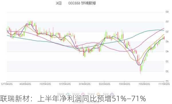 联瑞新材：上半年净利润同比预增51%―71%