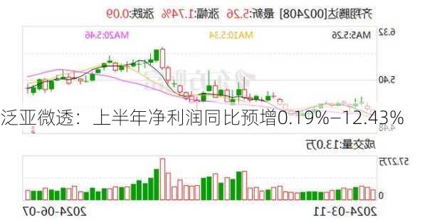 泛亚微透：上半年净利润同比预增0.19%―12.43%