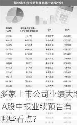 多家上市公司业绩大增 A股中报业绩预告有哪些看点？