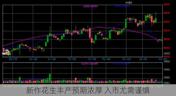 新作花生丰产预期浓厚 入市尤需谨慎