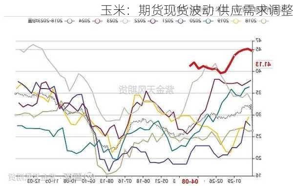 玉米：期货现货波动 供应需求调整