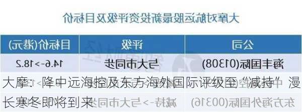 大摩：降中远海控及东方海外国际评级至“减持” 漫长寒冬即将到来