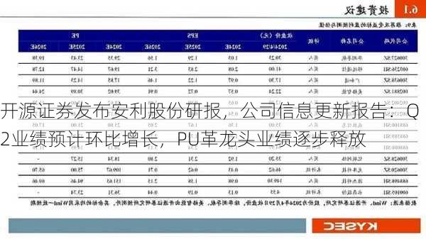 开源证券发布安利股份研报，公司信息更新报告：Q2业绩预计环比增长，PU革龙头业绩逐步释放